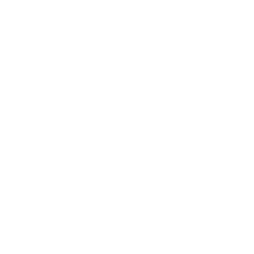 Sponsorship Icon